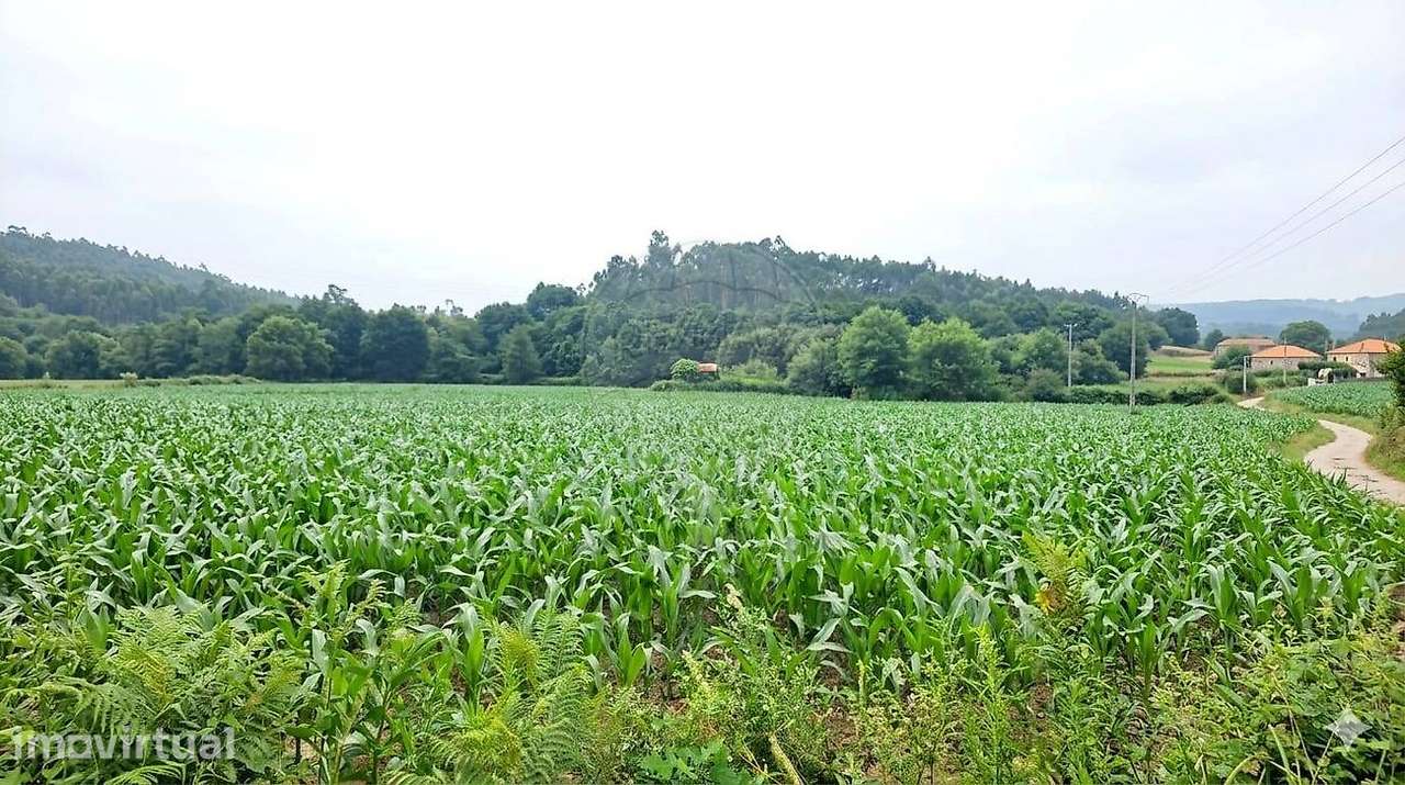 Terreno  para venda - Grande imagem: 2/5
