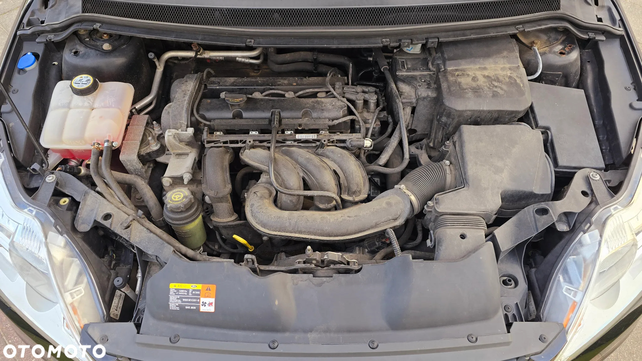 Ford Focus - 28