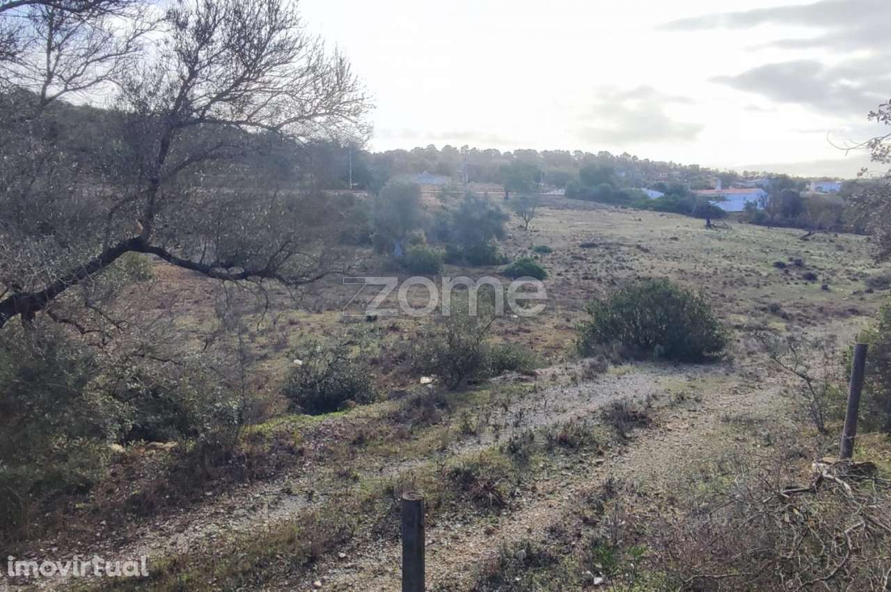 Terreno Rústico – Tunes, Silves | 1.480 m² - Grande imagem: 2/17