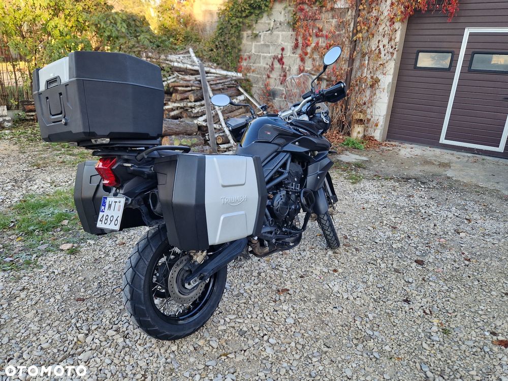 Triumph Tiger - 5