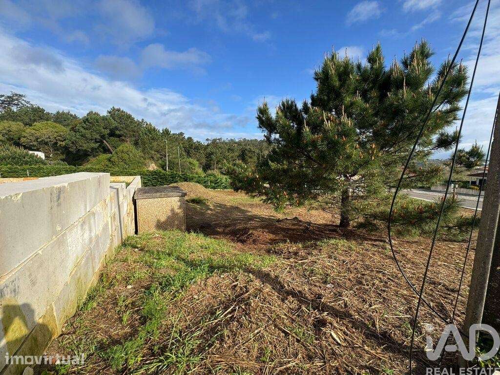 Terreno para construção em Tornada e Salir do Porto de 636,00 m2 - Grande imagem: 3/12