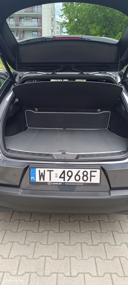 Lexus UX 250h GPF F Impression 2WD - 17