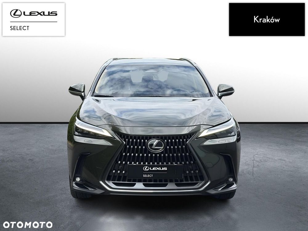 Lexus NX - 8