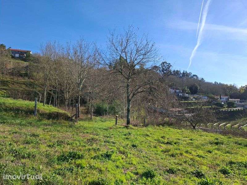Terreno 4.100 m² com pequena habitação – Avessadas (Com Boa Vista) - Grande imagem: 3/5
