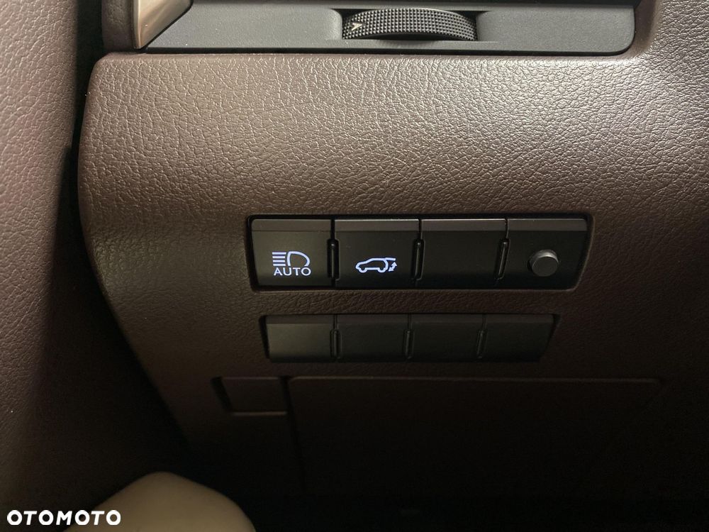 Lexus RX 450h Elegance MY19 - 21