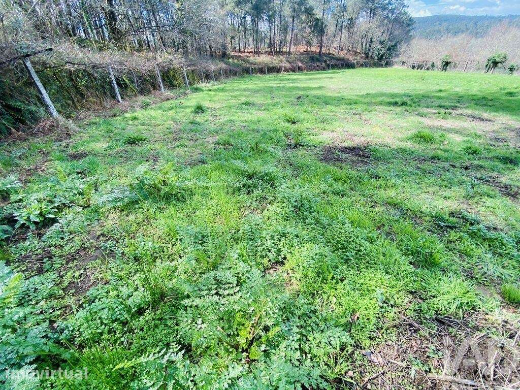 Terreno em Sapardos de 1460,00 m2 - Grande imagem: 2/10