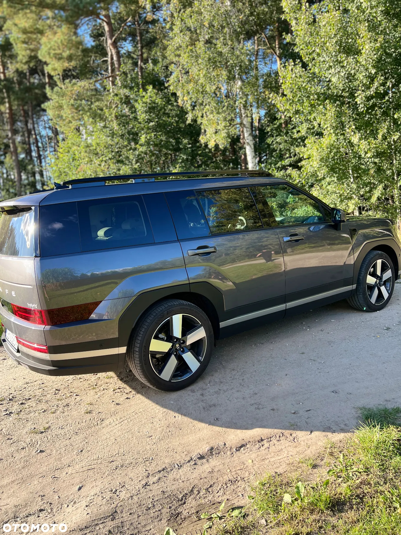 Hyundai Santa Fe - 12