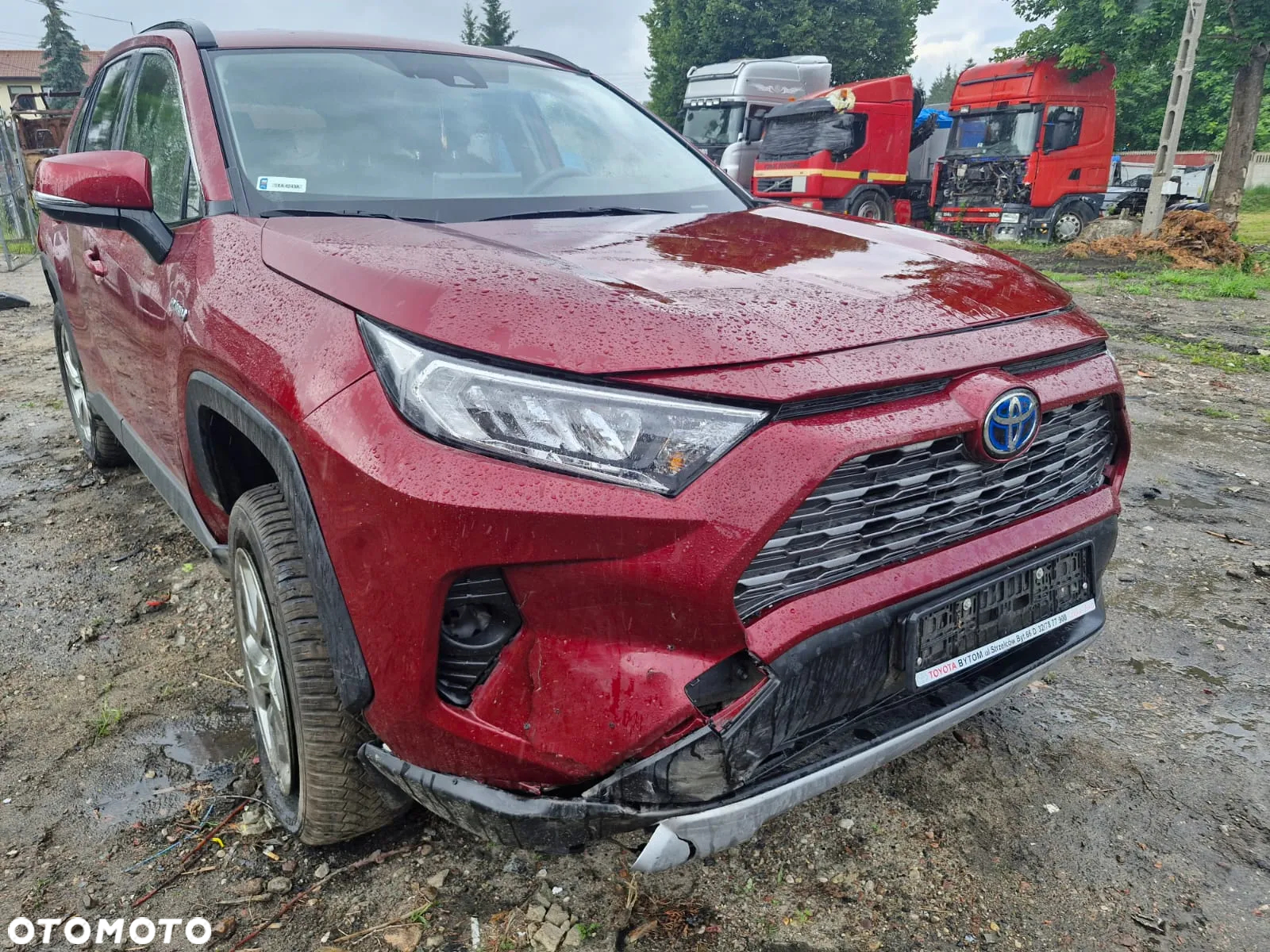 Toyota RAV4 2.5 Hybrid Executive 4x2 - 7