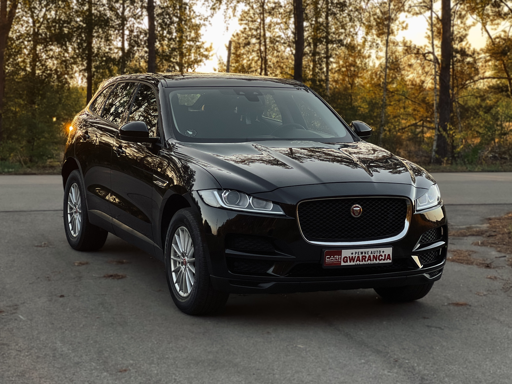 Jaguar F-Pace - 2