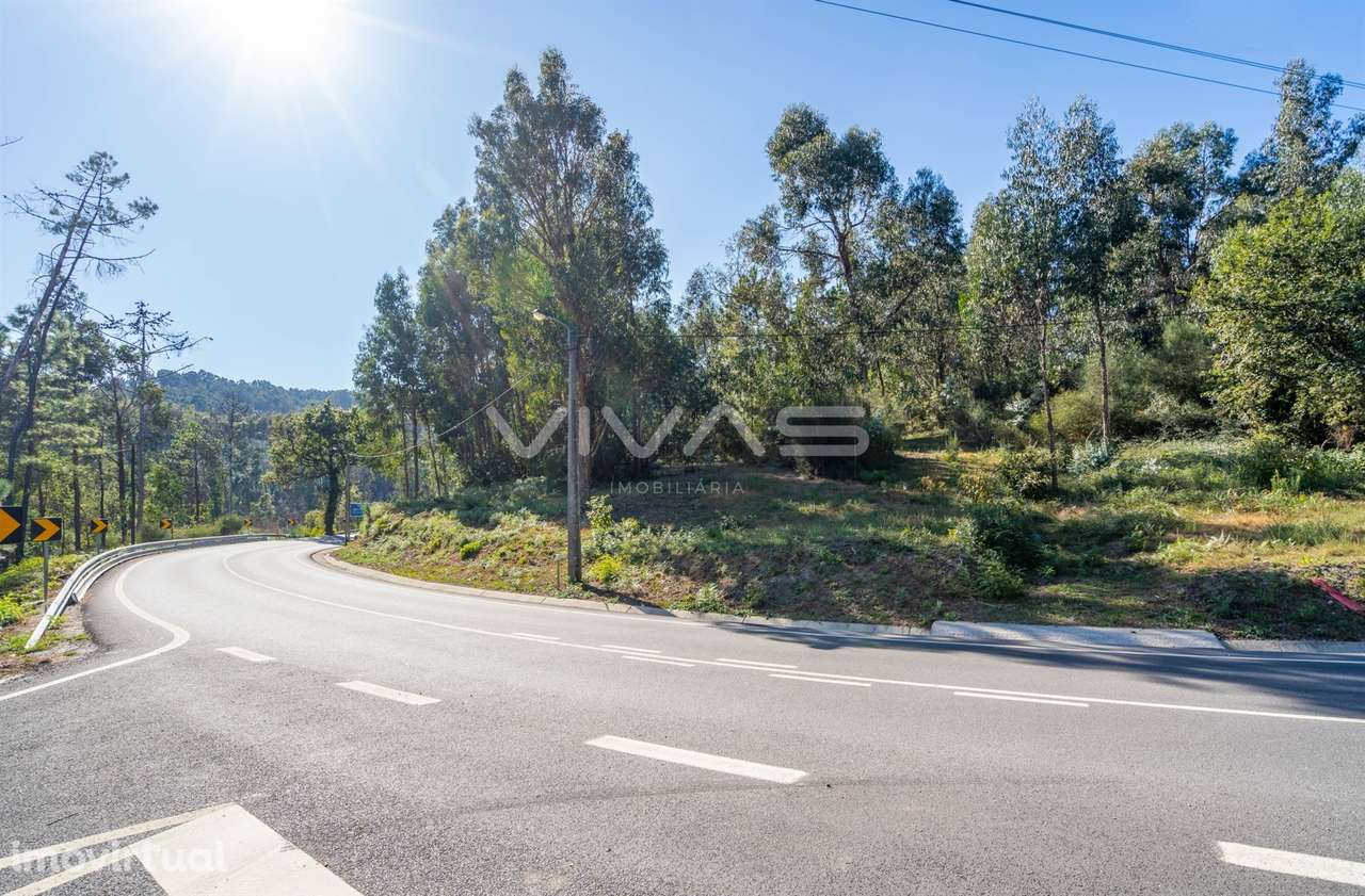 Terreno Rústico  Venda em Pico,Vila Verde - Grande imagem: 3/21