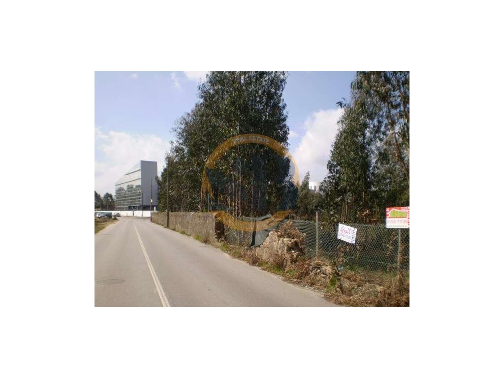 Terreno Industrial Oliveira de Azeméis - Grande imagem: 4/4