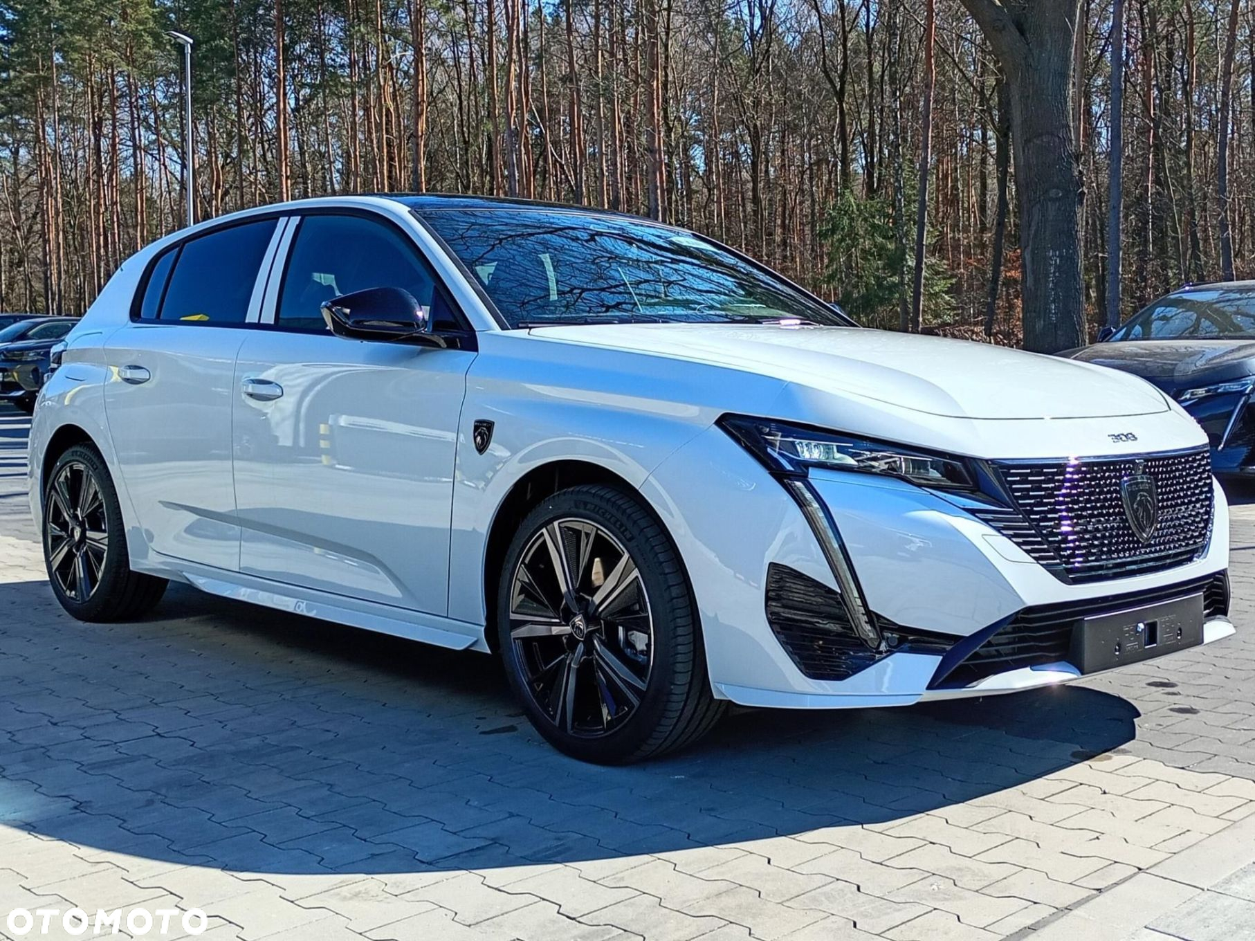 Peugeot 308 - 13