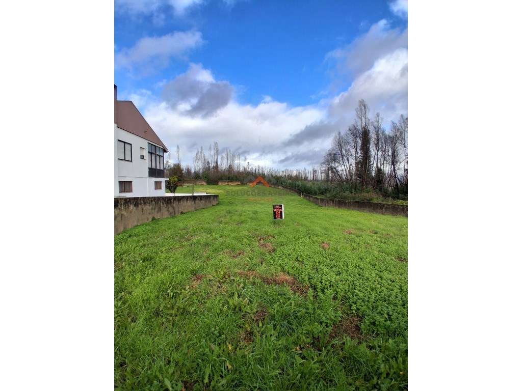 Terreno Urbano Centro da Cidade - Grande imagem: 5/14