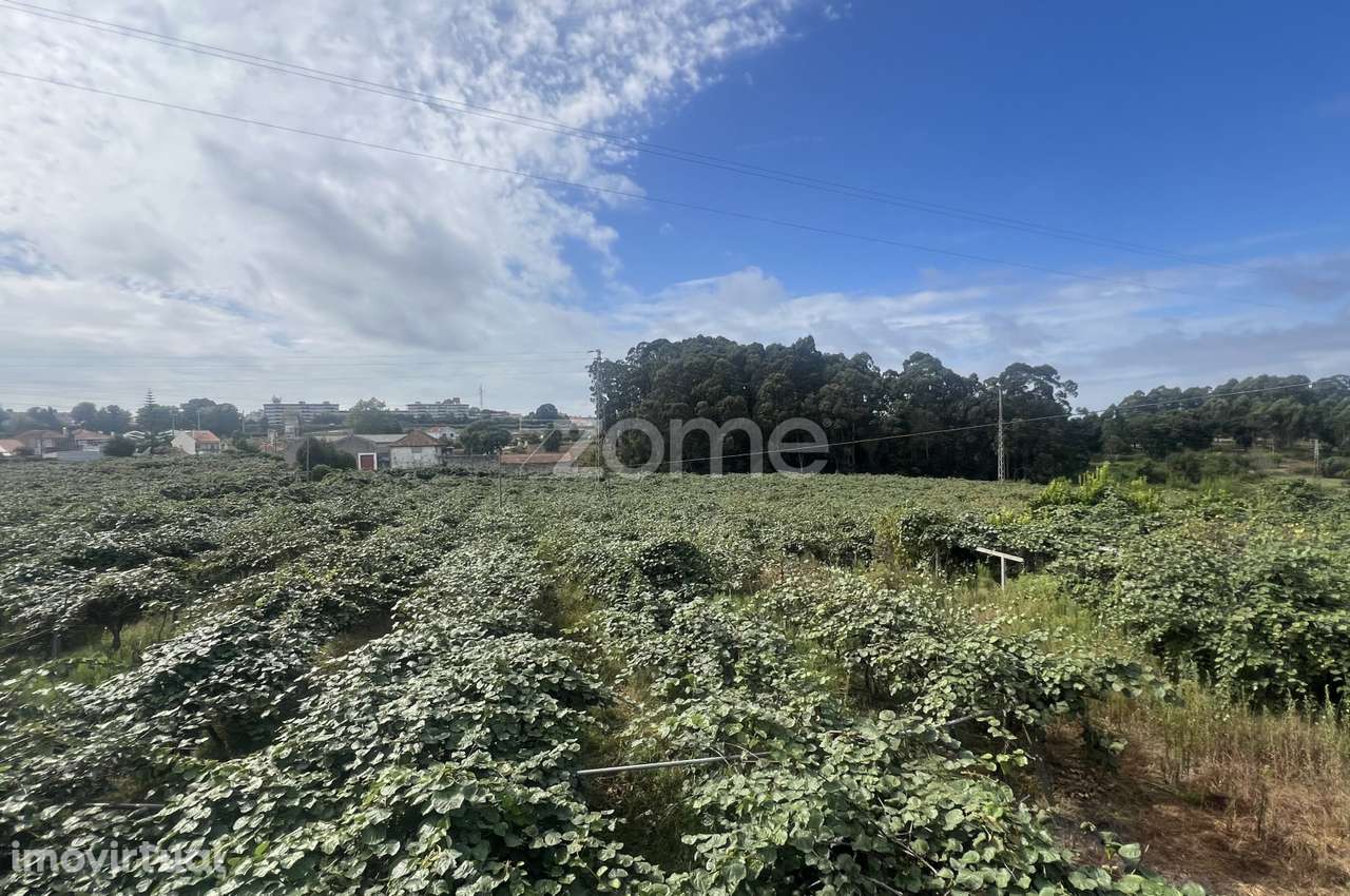 Moradia T5, anexo, terraços, vários LGs e terreno S. Mamede Infesta - Grande imagem: 5/60