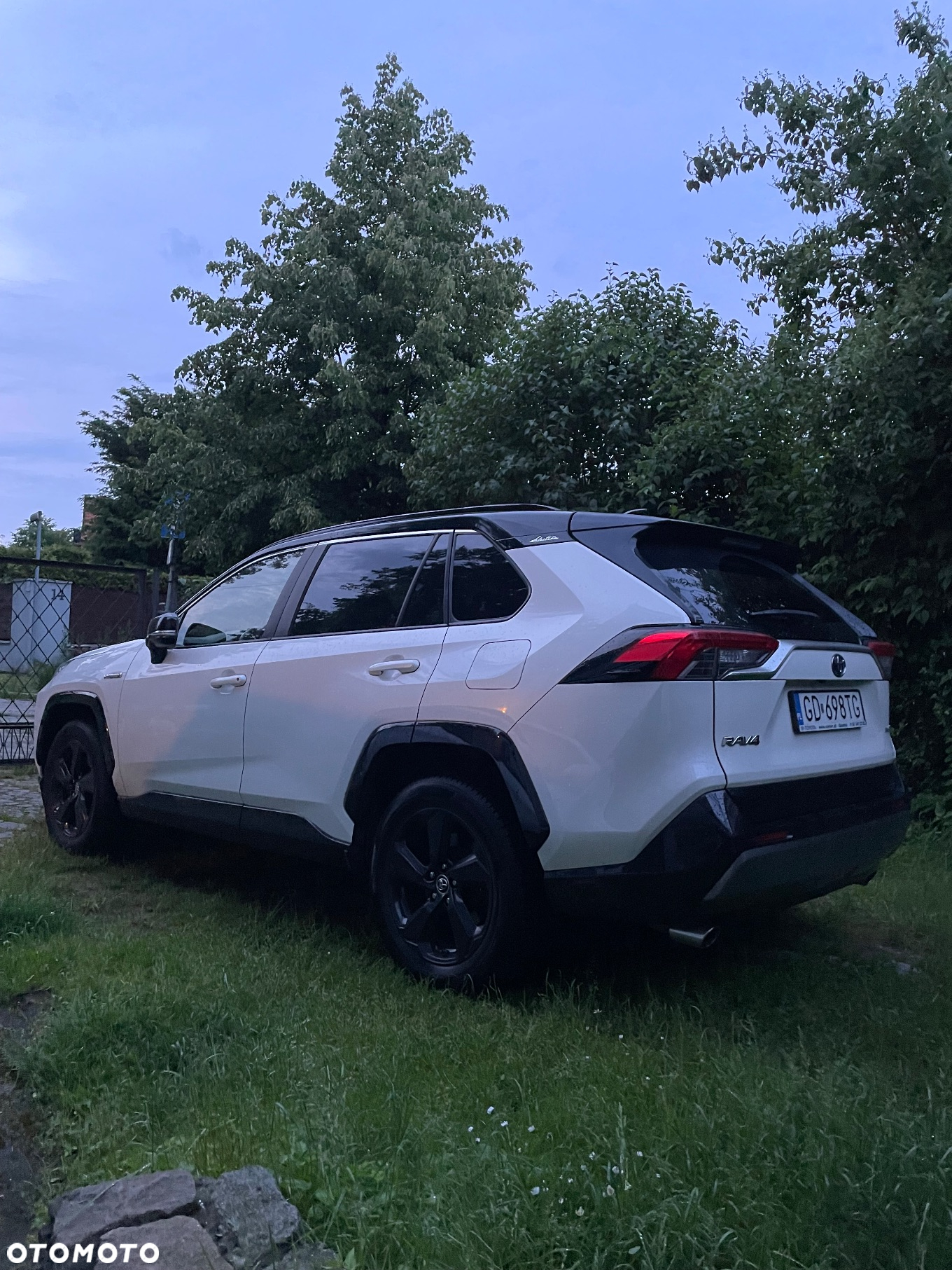 Toyota RAV4 2.5 Hybrid Selection 4x2 - 2