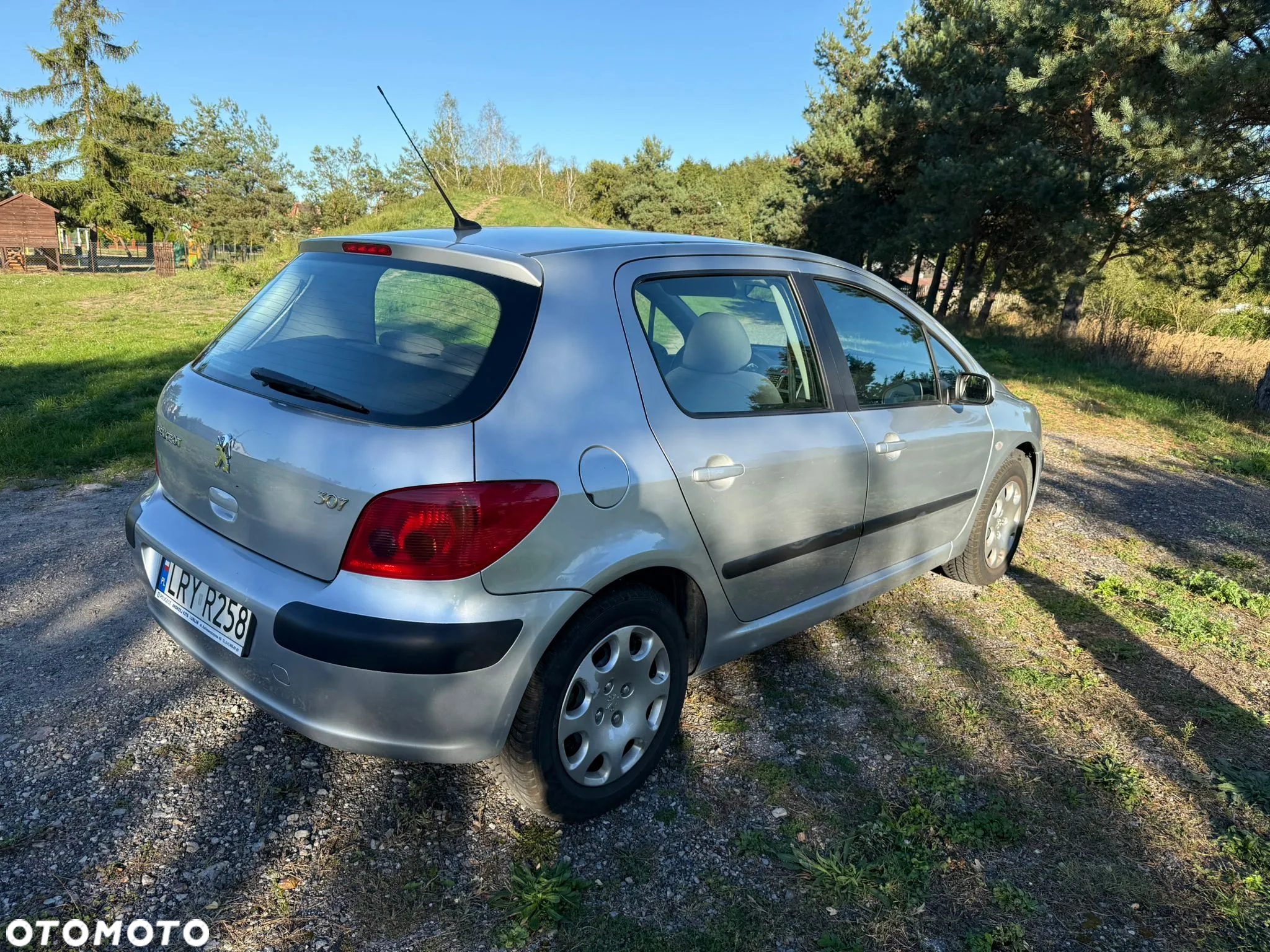 Peugeot 307 1.6 XR - 23
