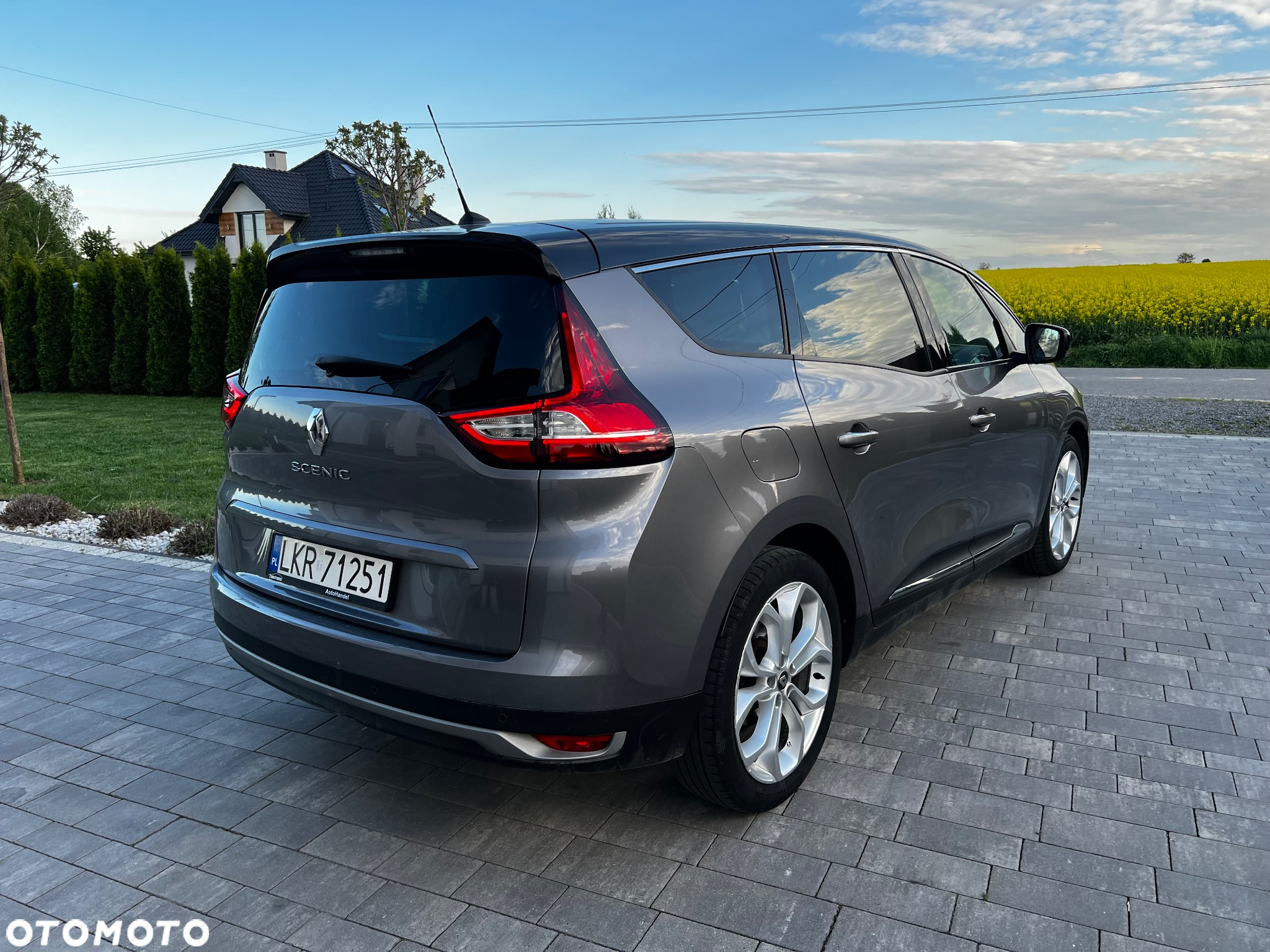 Renault Scenic - 19