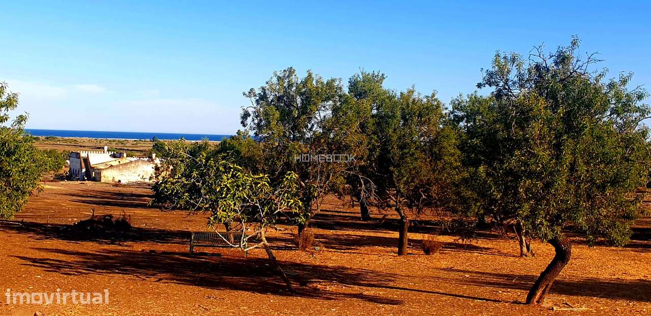 PEDRAS DEL REI - TAVIRA - ALGARVE - Grande imagem: 3/14