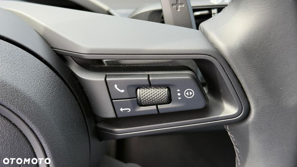 Porsche Panamera 4 E-Hybrid PHEV - 14