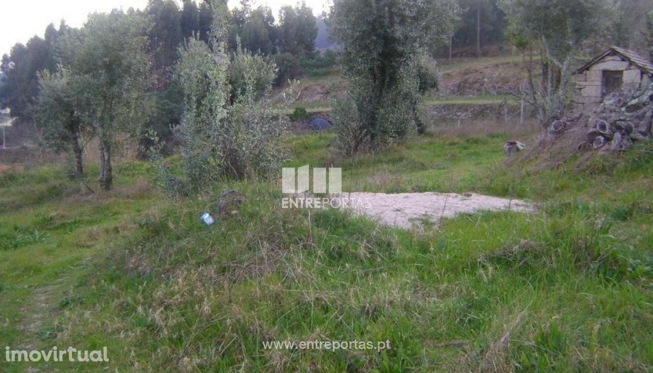 Venda Terreno, Paredes de Viadores, Marco de Canaveses - Grande imagem: 5/9