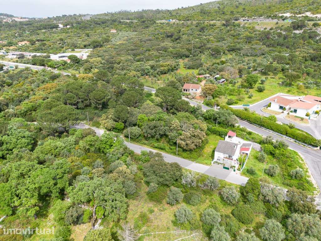 Lote para construção na Vila de Minde - Grande imagem: 5/6