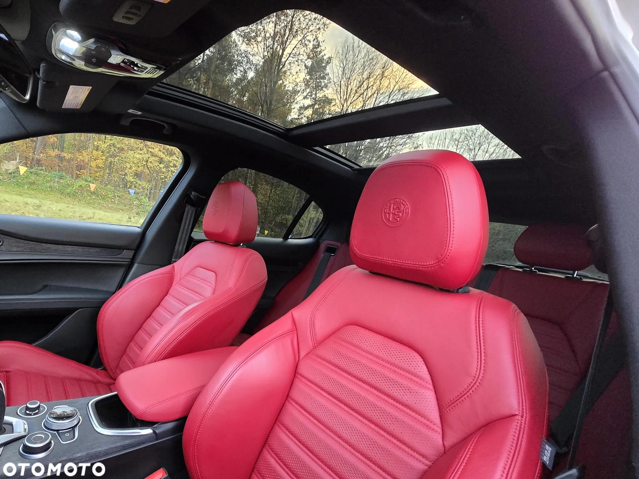 Alfa Romeo Stelvio 2.0 Turbo 16V AT8-Q4 Veloce Ti - 16