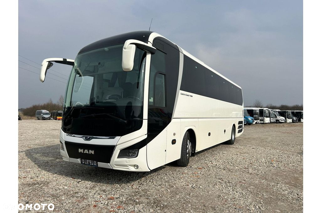 MAN Lions Coach - 17