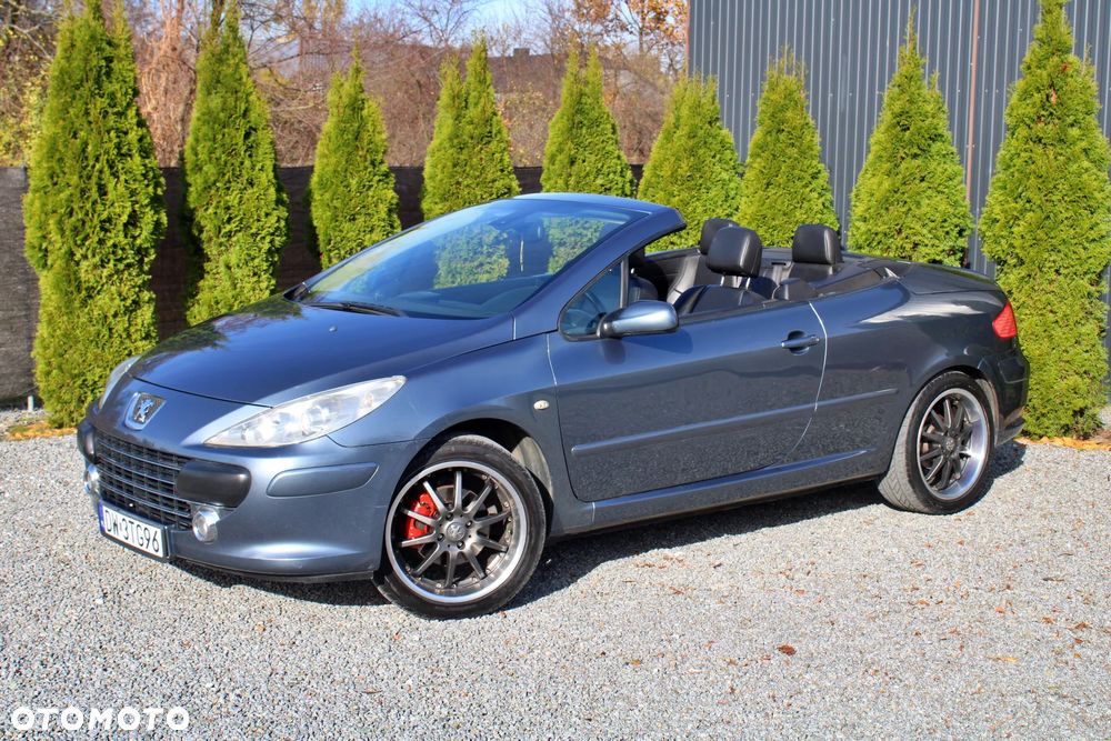 Peugeot 307 CC 140 JBL - 18