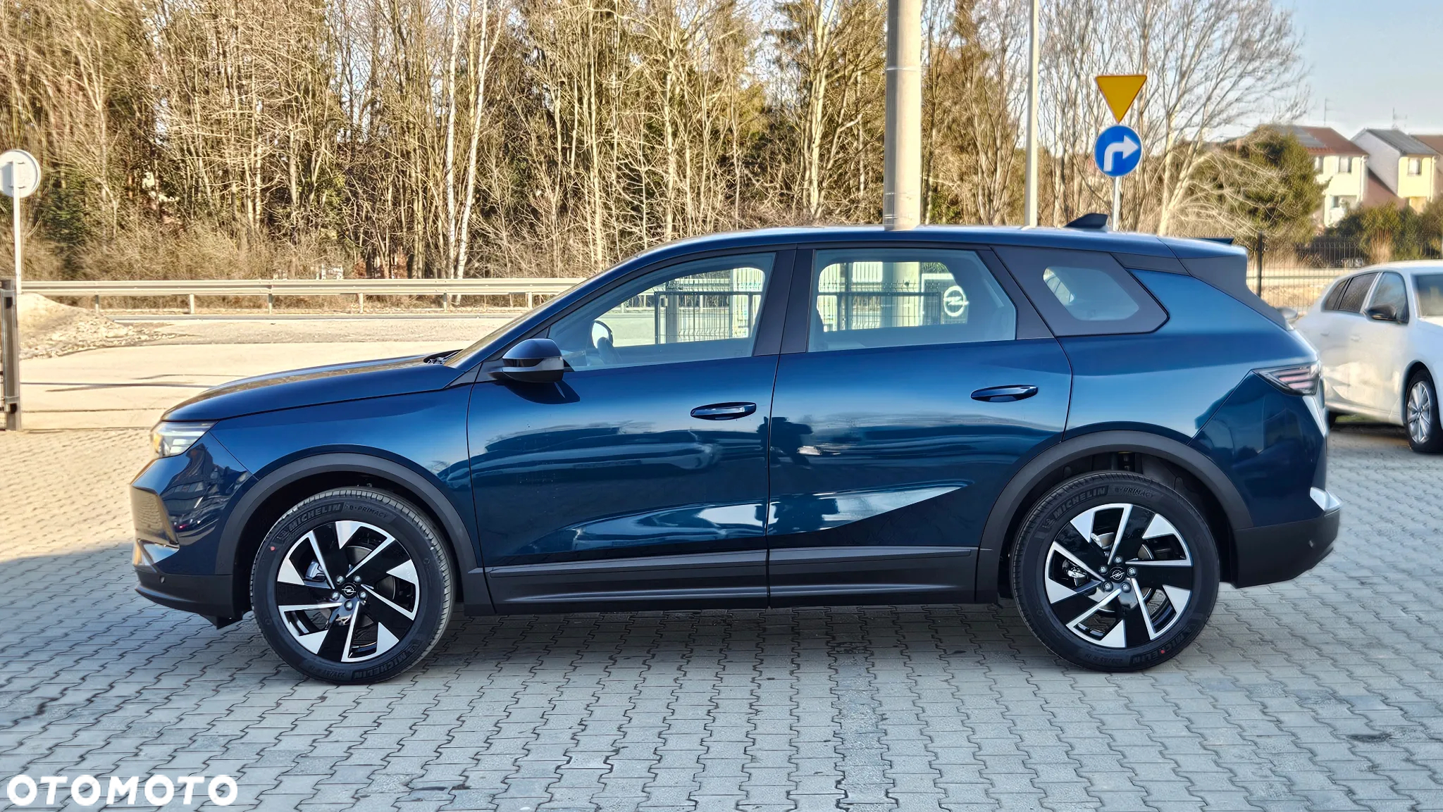 Opel Grandland 1.2 T mHEV Edition S&S eDTC6 - 20