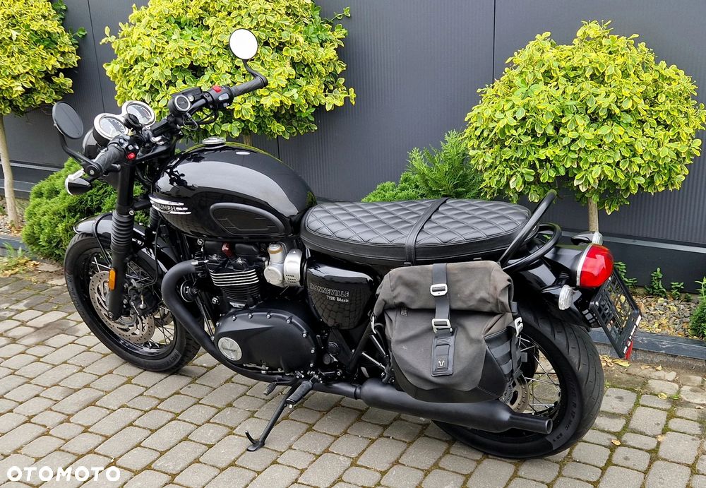 Triumph Bonneville - 6