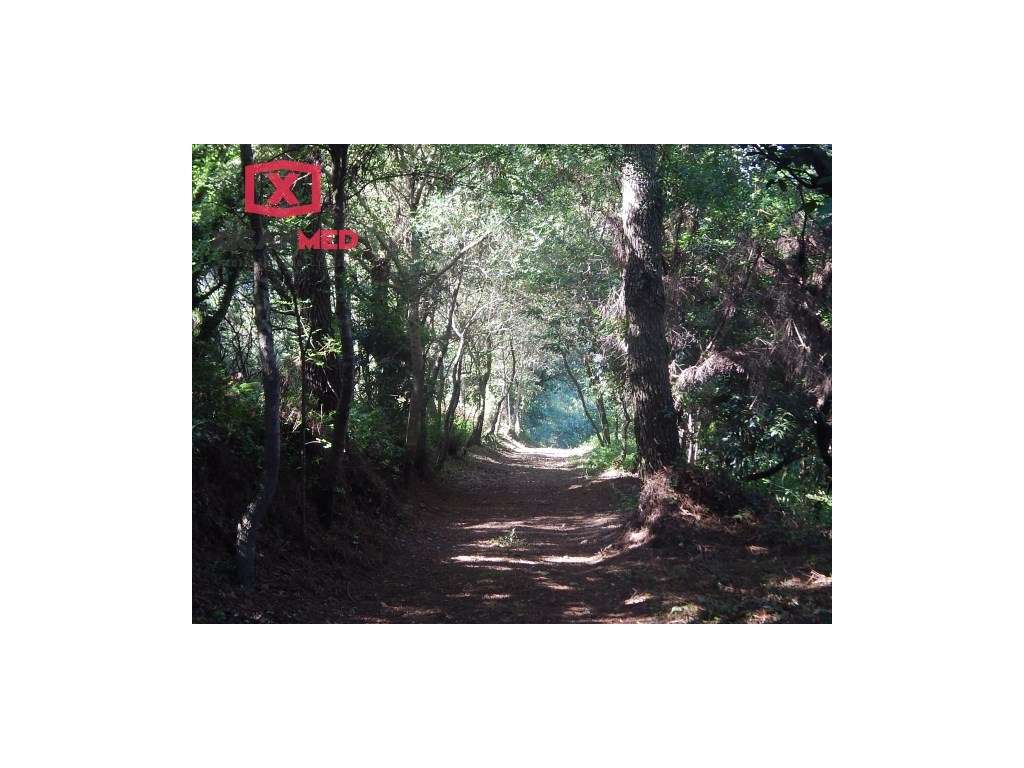 Terreno na Praia das Maças - Grande imagem: 3/5