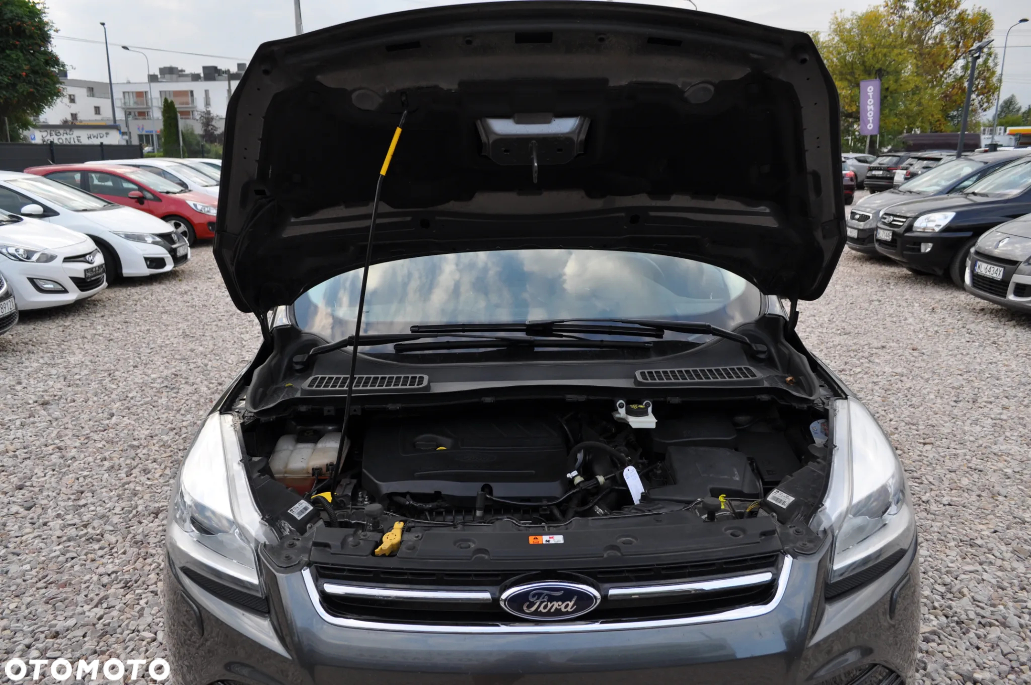 Ford Kuga 1.5 EcoBoost 4x4 Titanium - 24