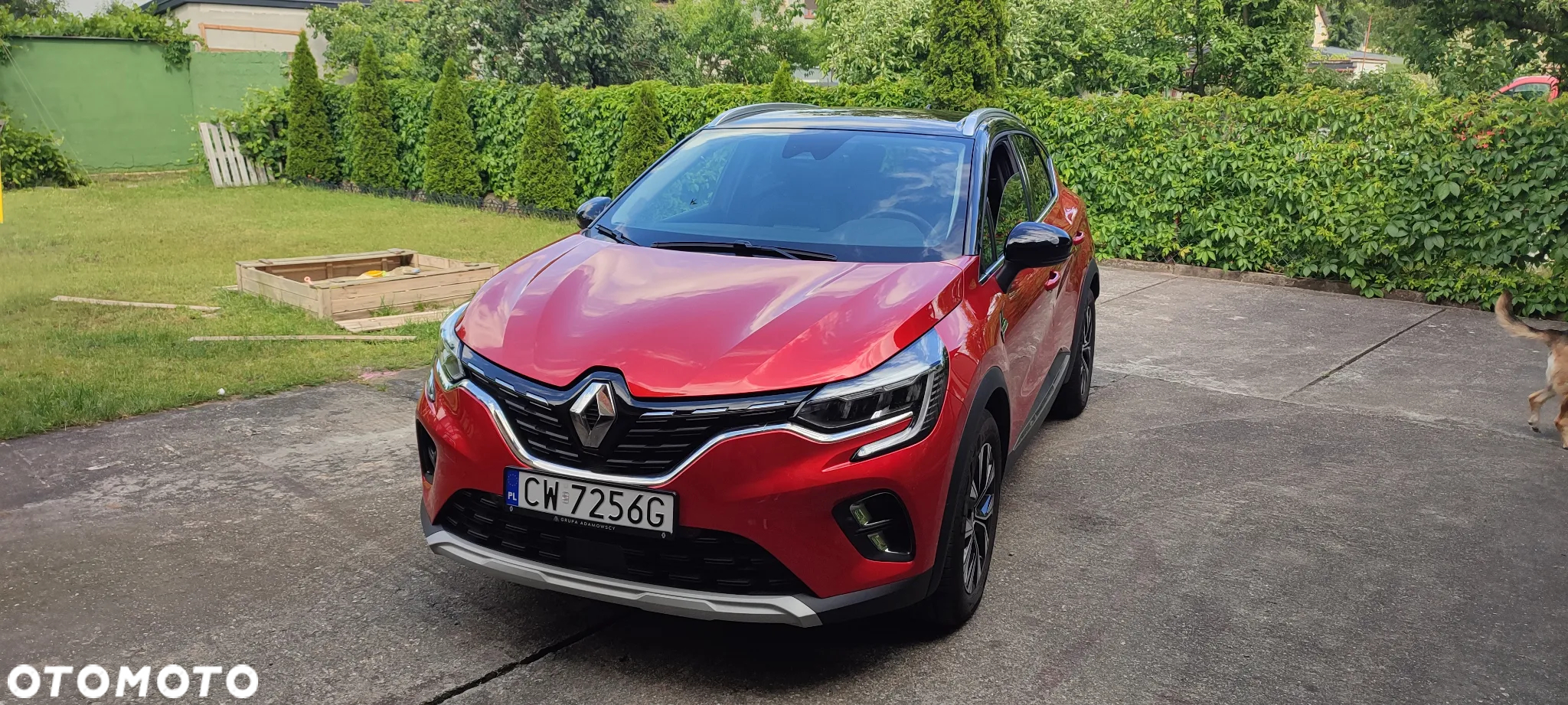 Renault Captur - 29