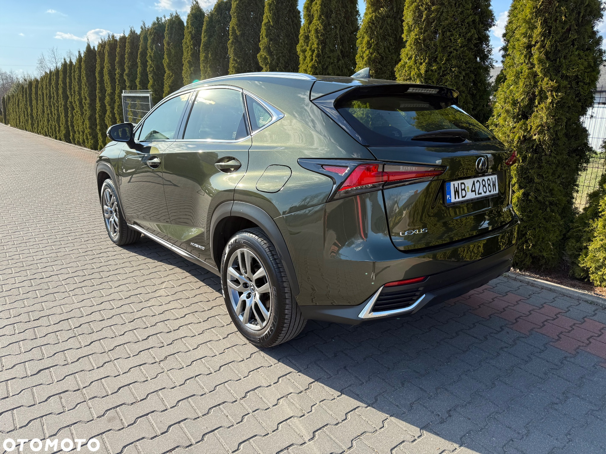 Lexus NX - 27