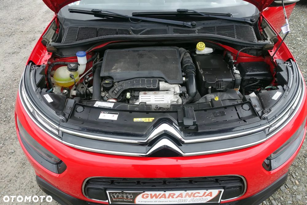 Citroën C4 Cactus PureTech 110 Stop&Start EAT6 Origins - 30