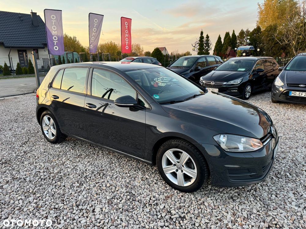 Volkswagen Golf - 21