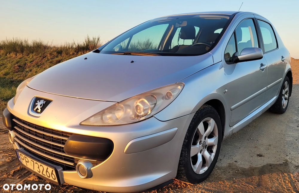 Peugeot 307 - 5