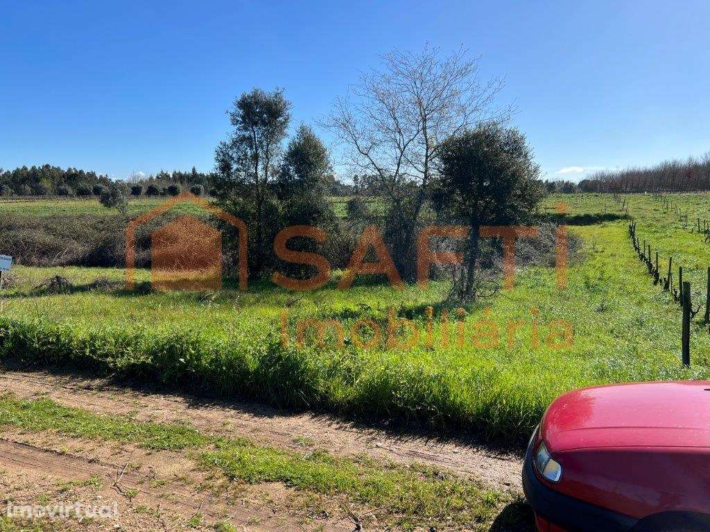 Terreno com 5870 m2 em São Lourenço do Bairro - Grande imagem: 4/12