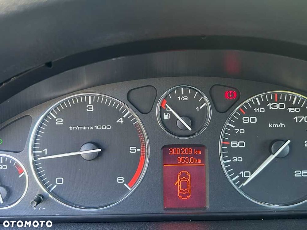 Peugeot 407 - 5