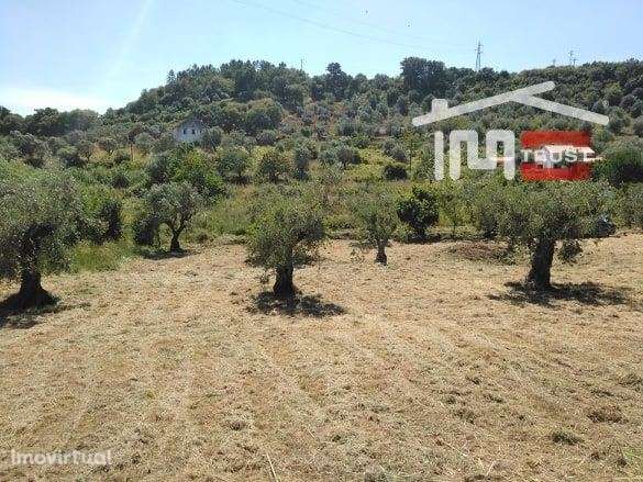 Terreno para construção - Grande imagem: 5/6