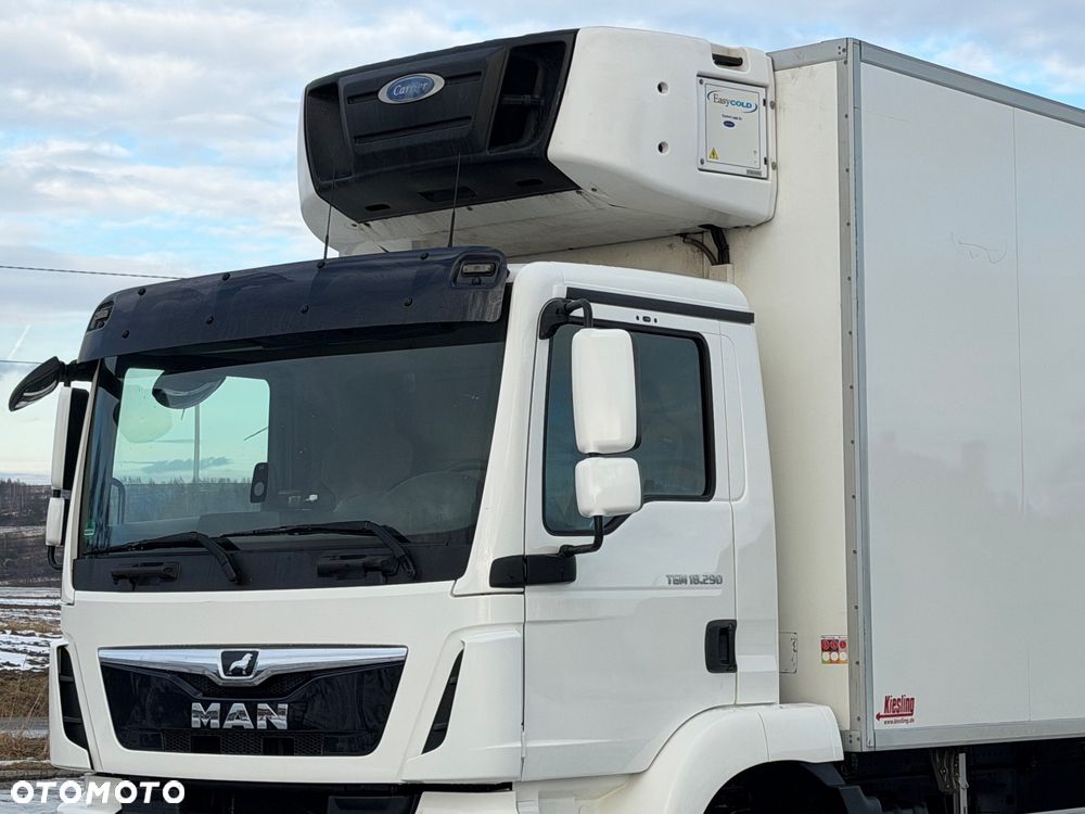 MAN TGM 18.290 / CHŁODNIA / WINDA / 18 PALET / AUTOMAT / NISKI PRZEBIEG / 8 370 KG ŁADOWNOŚCI / CARRIER / 2018 ROK - 13