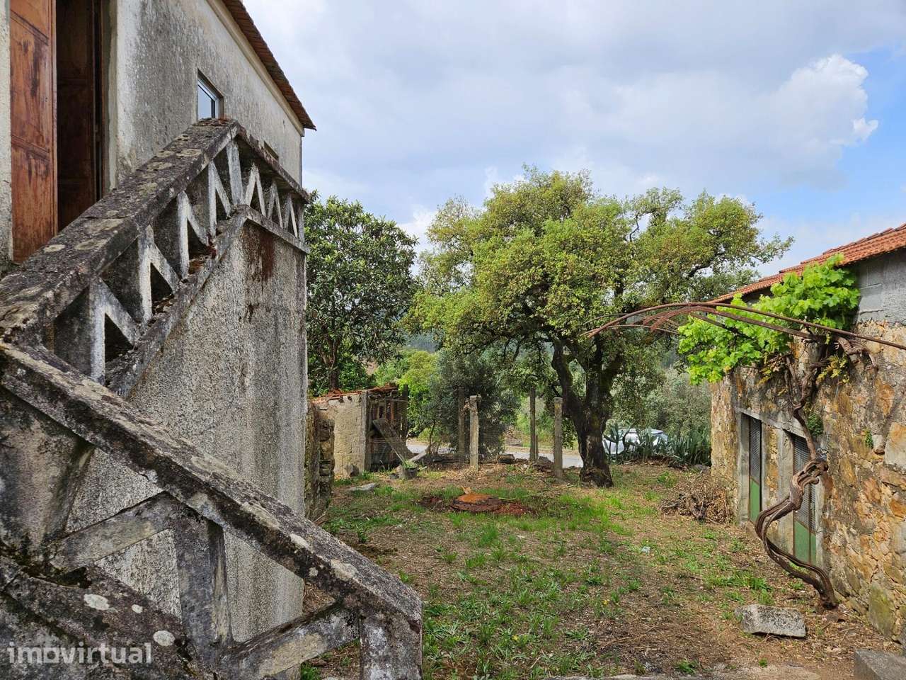 Moradia tradicional T3 | Total terreno 700 m2 | Figueiró dos Vinhos - Grande imagem: 4/54