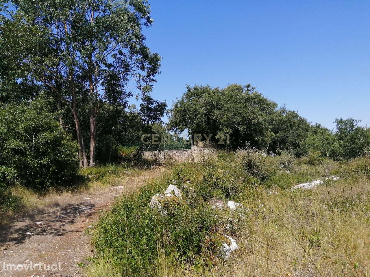 Terreno com projeto aprovado - Grande imagem: 3/14