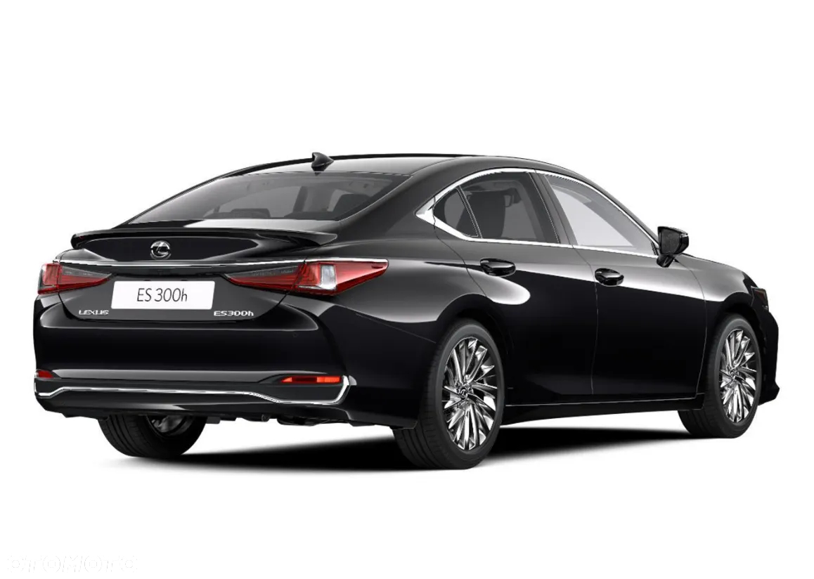 Lexus ES 300h Omotenashi - 4