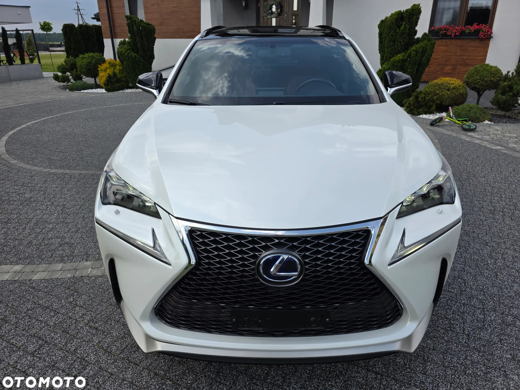 Lexus NX 300h E-FOUR F SPORT - 16