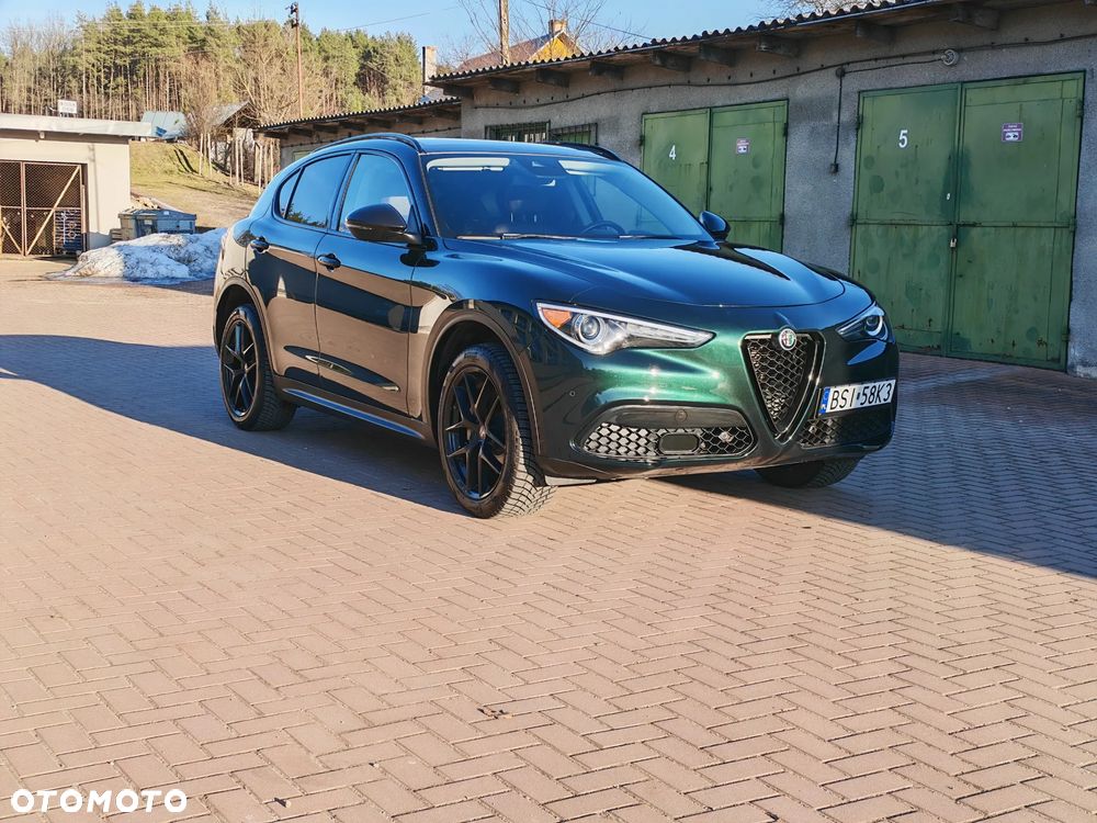 Alfa Romeo Stelvio - 2