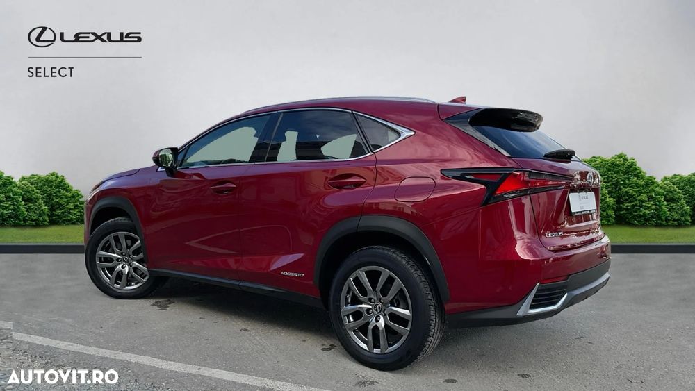 Lexus Seria NX 300h AWD Executive Plus - 4