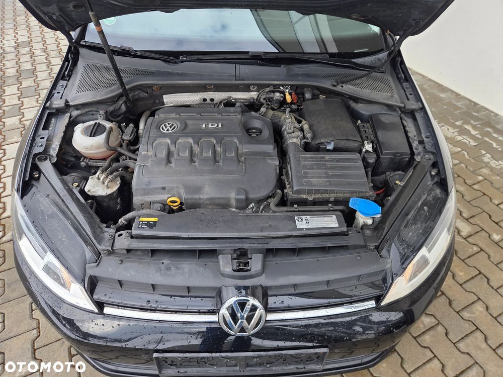Volkswagen Golf - 19