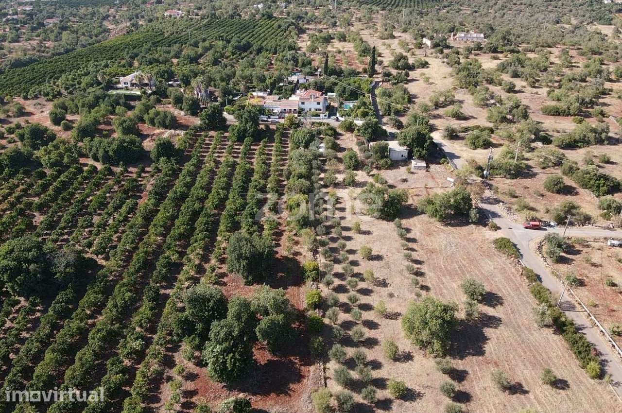 Terreno Rústico em Carrasqueiro, Paderne com 4.320m2 - Grande imagem: 4/18