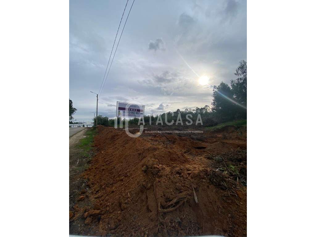 Terreno Rústico para venda no concelho de Águeda - Grande imagem: 5/5